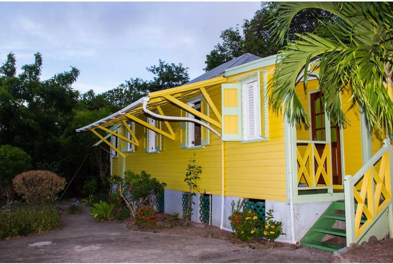 The Yellow Cabin Gingerland Saint Kitts ve Nevis